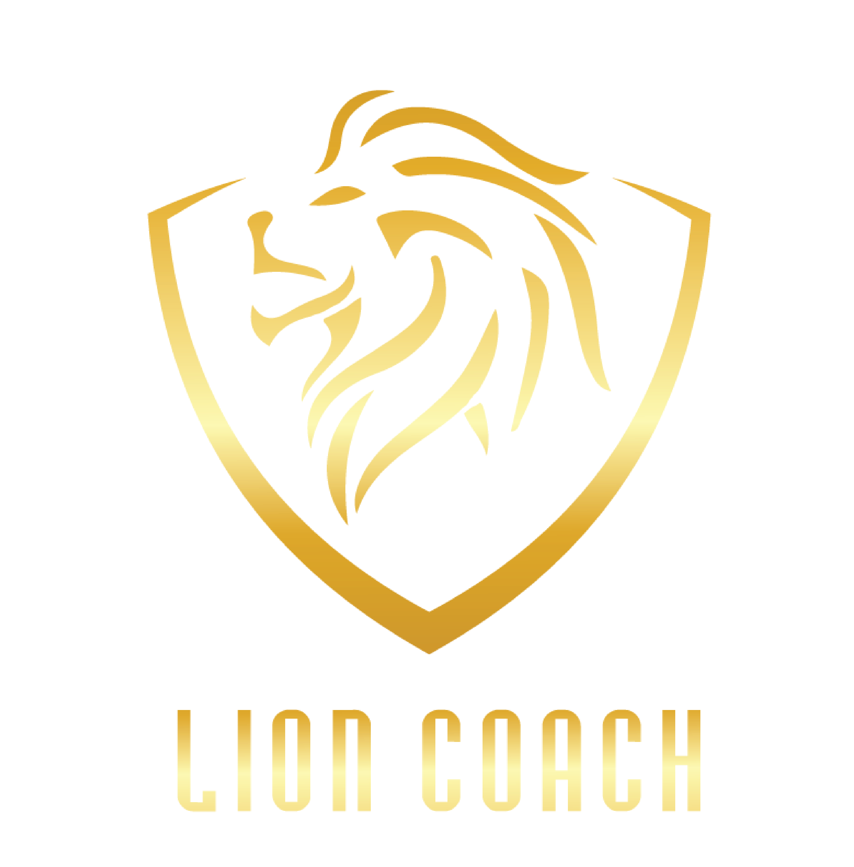 Lion Coach