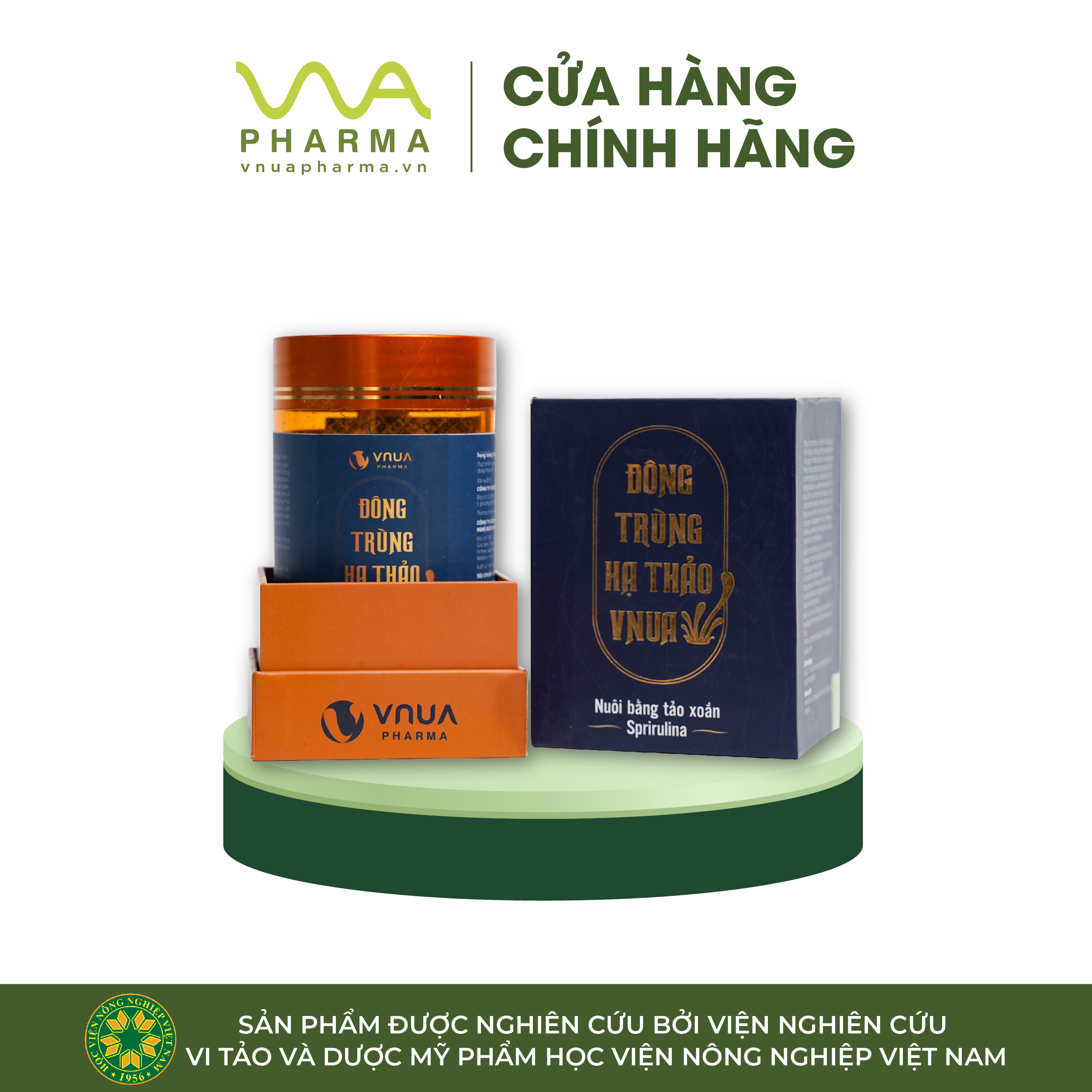 ĐÔNG TRÙNG HẠ THẢO NUÔI BẰNG TẢO XOẮN SPIRULINA (100% đông trùng hạ thảo nuôi bằng tảo xoắn Spirulina sấy thăng hoa)