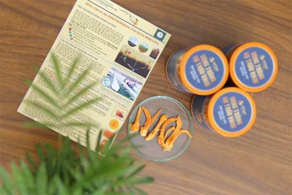 dong-trung-ha-thao-nuoi-bang-tao-xoan-spirulina-2