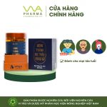 ĐÔNG TRÙNG HẠ THẢO NUÔI BẰNG TẢO XOẮN SPIRULINA (100% đông trùng hạ thảo nuôi bằng tảo xoắn Spirulina sấy thăng hoa)