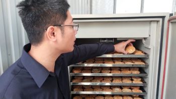 [GIẢI ĐÁP] Đông trùng hạ thảo sấy thăng hoa có thật sự chất lượng không?