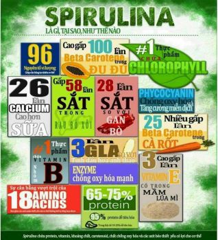 SIÊU DINH DƯỠNG CÓ TRONG TẢO XOẮN SPIRULINA