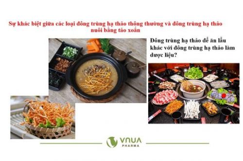 TÁC DỤNG CỦA ĐÔNG TRÙNG HẠ THẢO CHUẨN KHOA HỌC – BÀI 6: So sánh hàm lượng chất quý có trong Đông trùng nuôi bằng tảo xoắn Spirulina với đông trùng hạ thảo ngoài thị trường