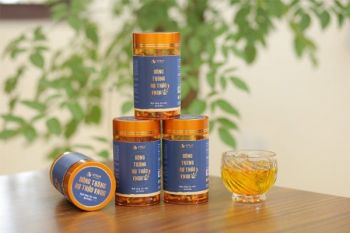 TÁC DỤNG CỦA ĐÔNG TRÙNG HẠ THẢO CHUẨN KHOA HỌC – BÀI 5: Công dụng của Đông trùng hạ thảo đối với từng đối tượng sử dụng