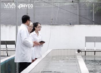 QUY TRÌNH NUÔI TẢO XOẮN SPIRULINA VNUA